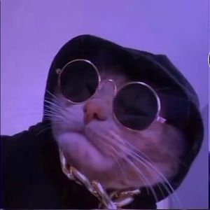 Meet your Posher, Emma